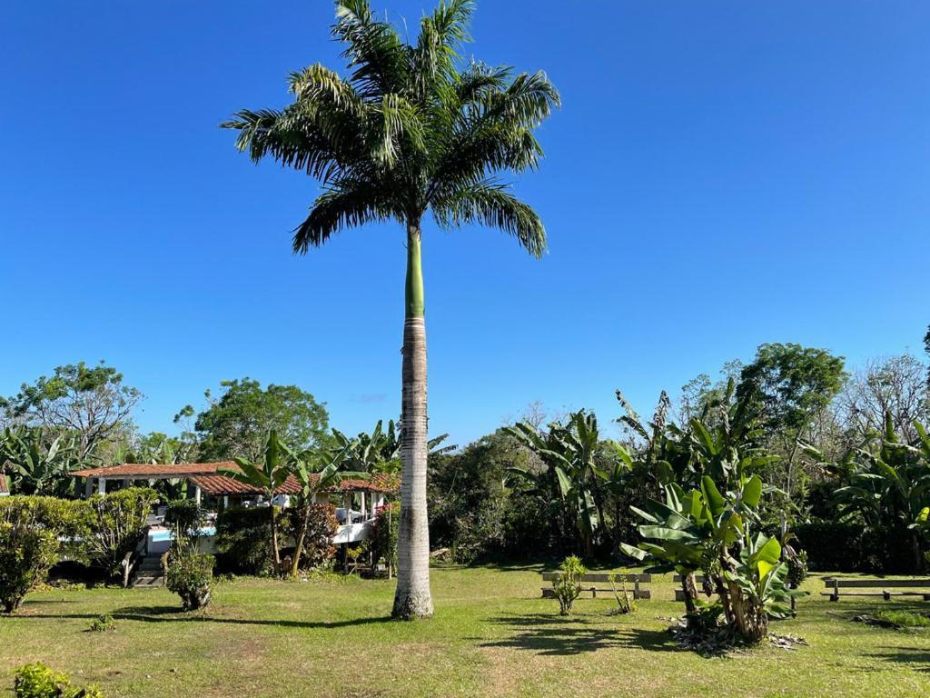 Enchanted Galapagos Lodge Puerto Ayora  Kültér fotó